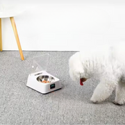 SmartSense - Auto-Open Pet Feeder