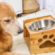 ElevateBowl Feeder with Bamboo Stand