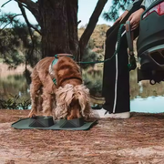 TravelBuddy - Foldable Silicone Pet Bowls