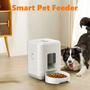 Dual-Power Auto Pet Feeder - 2L