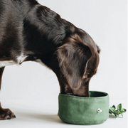 Portable Dog Bowl – Travel Food and Water Dish